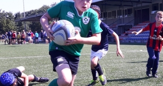 Toprugbykamp